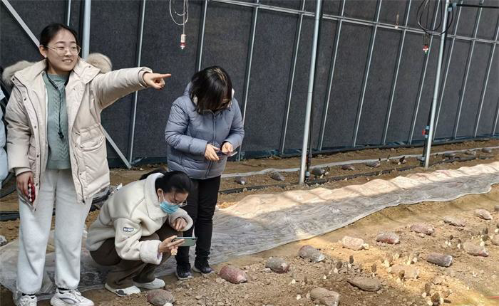 金禾娱乐城
