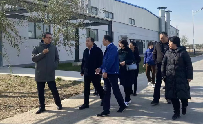 金禾娱乐城
