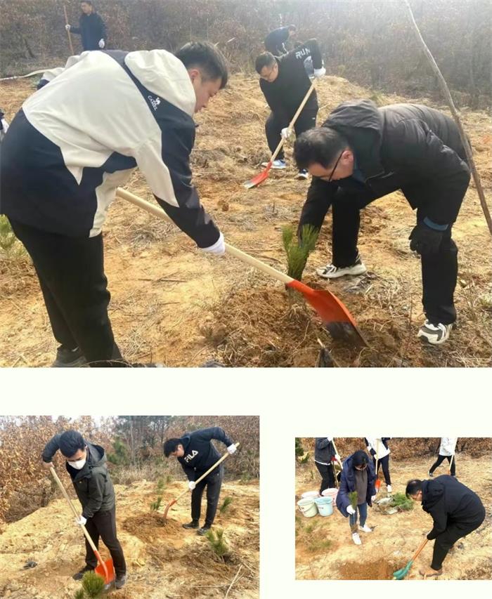 金禾娱乐城